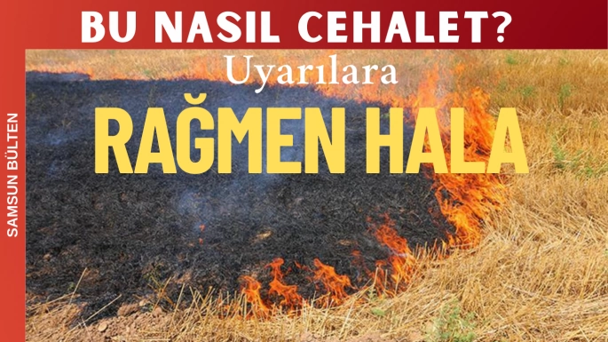 Anız Yangınları Tehlike Saçmaya Devam Ediyor