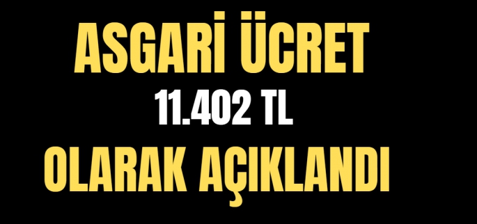 Asgari ücret 11.402 TL oldu