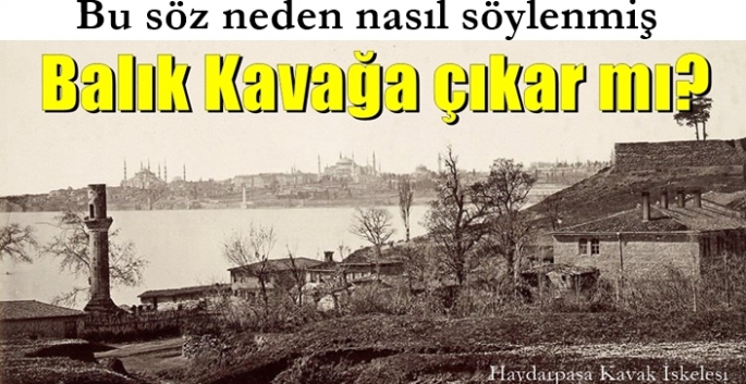 Balık kavağa çıkınca ne anlama gelir?