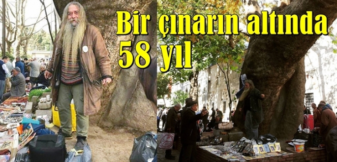 Bir çınarın altında 58 yıl