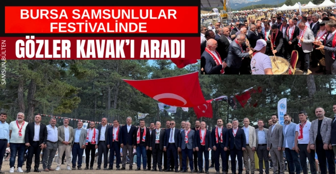 Bursa Samsun Dernekleri Federasyonu'ndan Kültür Festivali Teşekkürü ve Kavak Sitemi