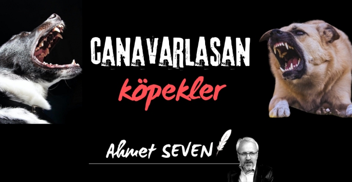 Canavarlaşan köpekler sorunu