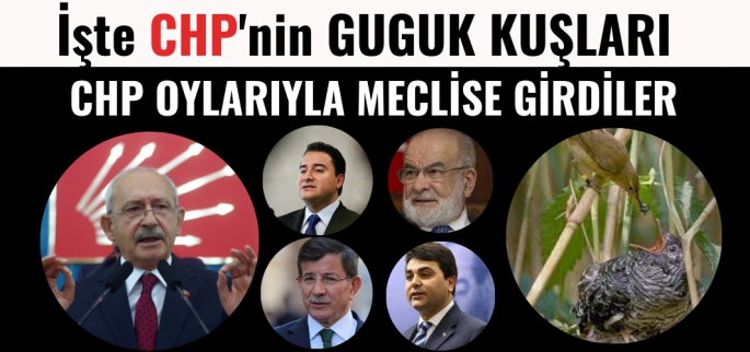 CHP'nin guguk kuşları meclise girdi