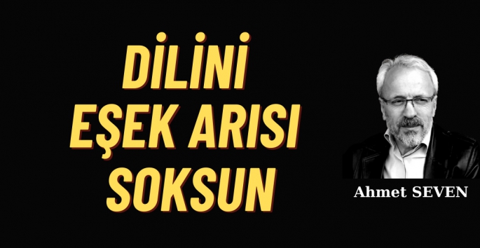 Dilini eşek arısı soksun