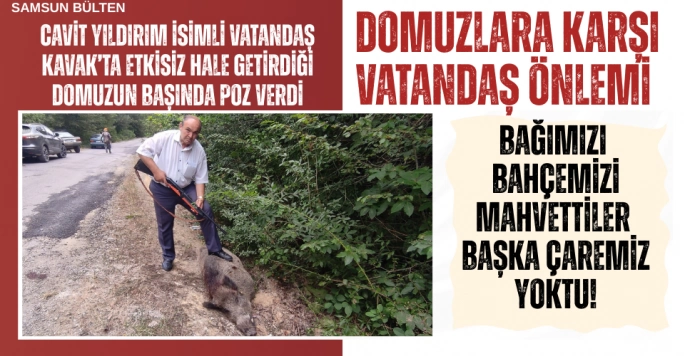 Domuz Kabusu Köylülerin Alın Terini Talan Ediyor