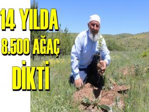 14 YILDA 8.500 FİDAN DİKEREK ÖRNEK OLDU