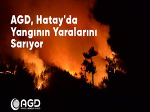  AGD, HATAYDA YANGININ YARALARINI SARACAK