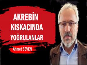 AKREBİN KISKACINDA YOĞRULANLAR