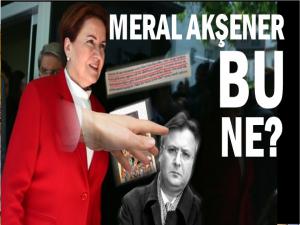 AKŞENER'İN YARDIMCISI FETÖ'YE ÖVGÜLER YAZMIŞ