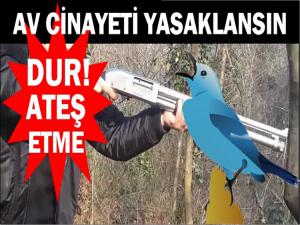 AVCILIK  CİNAYETİNE SON VERİLSİN