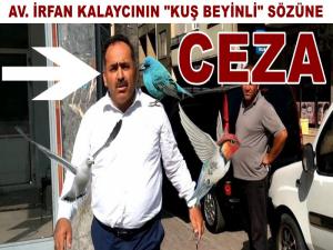 Av. İrfan Kalaycıya 'Kuş kadar beyni yok' cezası