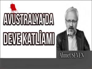 AVUSTRALYA'DA RESMİ HAYVAN KATLİAMINA HAYIR!