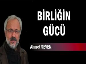 BİRLİĞİN GÜCÜ