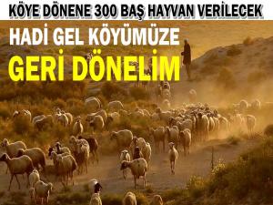 BU PROJE KÖYLÜYÜ UÇURACAK