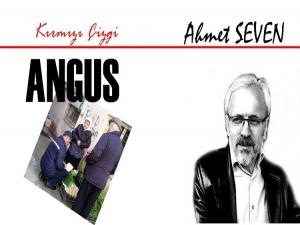 BU RESİM SIRBİSTANA AİT ANCAK BİZDEKİ ANGUSLAR 