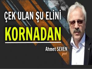 ÇEK ULAN ŞU ELİNİ KORNADAN