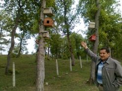 Kavak Emirli Köyü İmam Hatibinden Kuş evi Projesi
