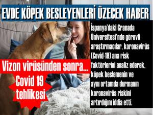 EV KÖPEĞİ VİRÜSÜ TETİKLİYOR SONUÇ VAHİM