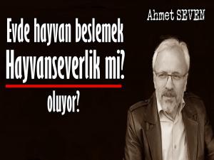  EVDE HAYVAN BESLEMEK HAYVANSEVERLİK Mİ OLUYOR?