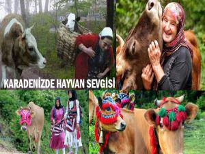 KARADENİZ KADINININ DİLLERE DESTAN HAYVAN SEVGİSİ