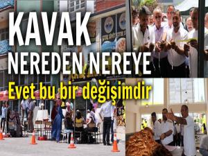 KAVAK: NEREDEN NEREYE GELDİ 