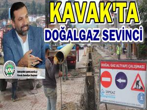 KAVAK DOĞAL GAZA KAVUŞUYOR 