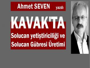 KAVAK'TA SOLUCAN YETİŞTİRİCİLİĞİ ve SOLUCAN GÜBRESİ