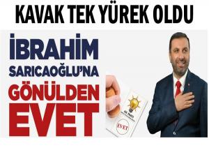 KAVAK TEK YÜREK OLDU SARICAOĞLU'NA EVET DİYECEK