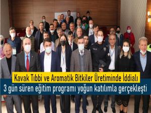 Kavak Tıbbi ve Aromatik Bitkiler Üretiminde İddialı