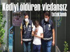 Kediye işkence yaparak öldüren vicdansız tutuklandı