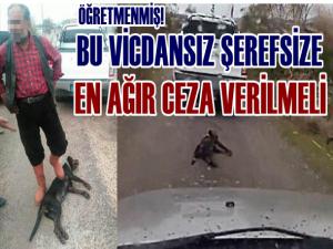 Köpeğin ölümüne sebep olan vicdansız açığa alındı