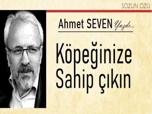 Köpeklerinize sahip çıkın