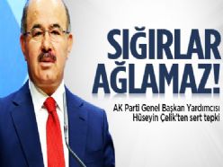  TEPKİLERE CEVAP VERDİ SIĞIRLAR AĞLAMAZ 