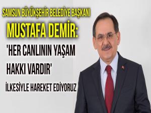 MUSTAFA DEMİR: 'HER CANLININ YAŞAM HAKKI VARDIR'