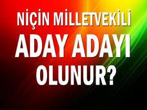 Niçin Milletvekili Aday Adayı olunur?