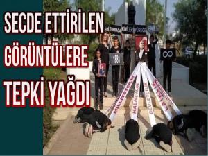 O GÖRÜNTÜLERE TEPKİ YAĞDI