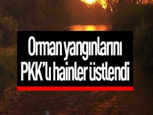 ORMAN YANGINLARINI PKK'LI HAİNLER ÜSTLENDİ