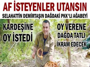  PKK'LI ABİSİ DAĞDAN  DEMİRTAŞ'A OY İSTEDİ