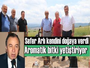 SEFER ARLI KAVAK'TA AROMATİK BİTKİ YETİŞTİRİYOR