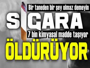 Sigara Fare zehirinden siyanüre! 7 bin kimyasal zehir taşıyor