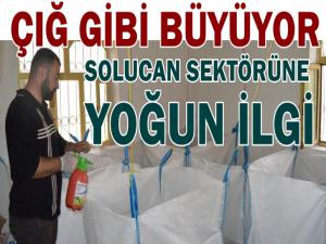 SOLUCAN SEKTÖRÜ ÇIĞ GİBİ BÜYÜYOR