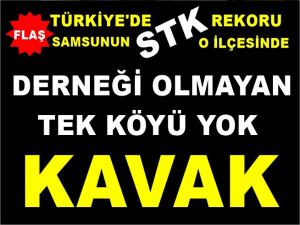 Türkiye'de en fazla STK'ya sahip ilçe: Rekor Kavak'ta