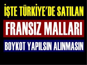 TÜRKİYE'DE SATILAN FRANSA MALLARI NELERDİR?