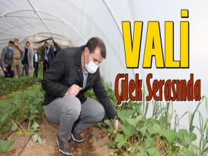 VALİ ÇİFTÇİLERLE SOHBET ETTİ ÇİLEK SERASINI GEZDİ  