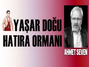 YAŞAR DOĞU HATIRA ORMANI