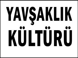 YAVŞAKLARDAN KURTULMANIN TEK YOLU: TEMİZLİKTİR