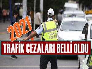 YENİ YILDA  UYGULANACAK TRAFİK CEZALARI BELLİ OLDU