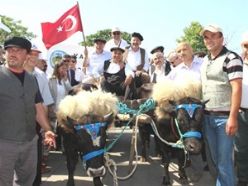 Hemşeri Dernekleri Fuarı açıldı