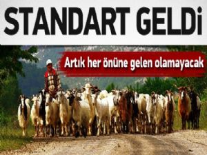 Artık her önüne gelen çoban olamayacak