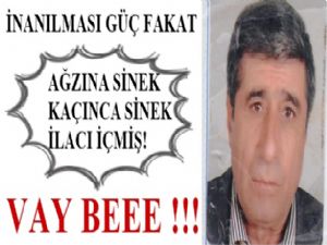 BU DA OLUR MU DEMEYİN OLMUŞ İŞTE